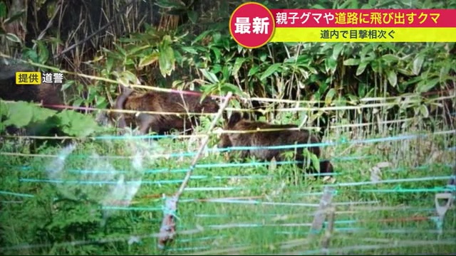 札幌市西区西野では5月22日朝も住民がクマを目撃