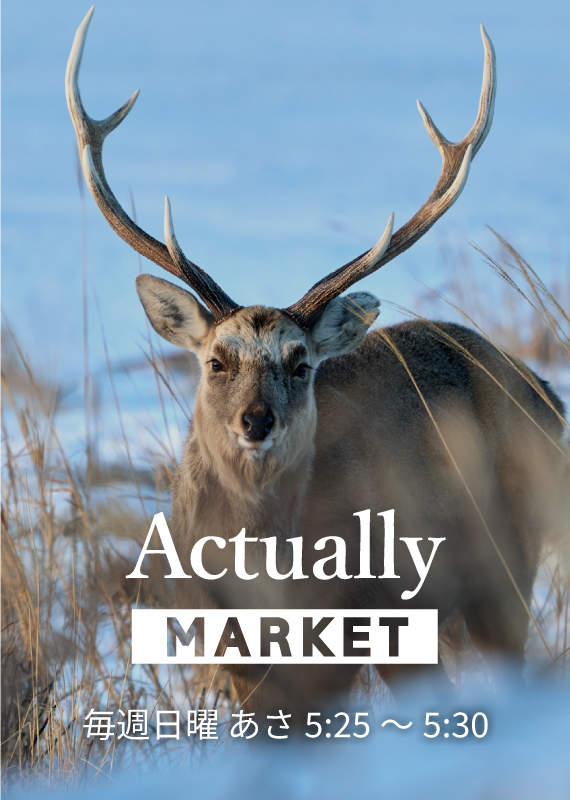ActuallyMARKET