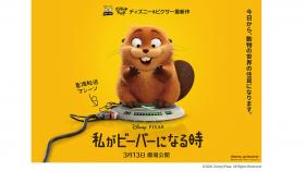 映画『私がビーバーになる時』公開記念 5局合同特別試写会 ※日本語吹き替え版上映