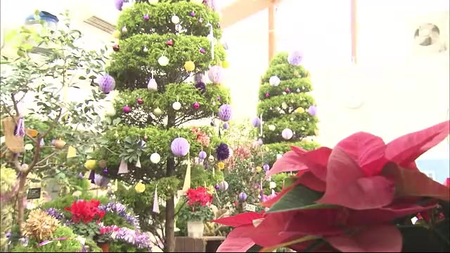 暖かな色合いの手作りのクリスマスリースや鉢花をてんじ・販売 札幌市豊平公園緑のセンター