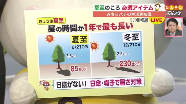 Uhb 北海道文化放送