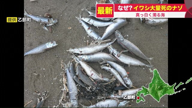 北海道ニュース Uhb Uhb 北海道文化放送