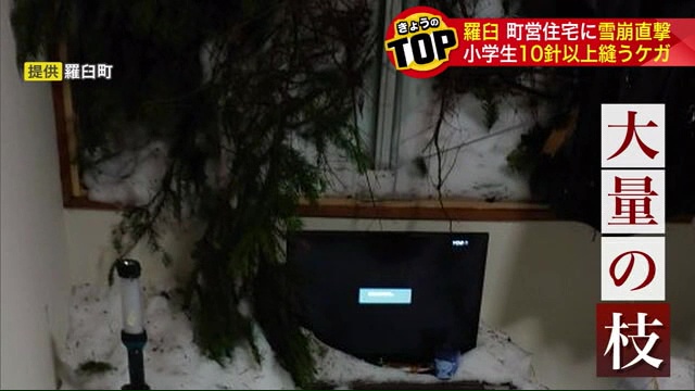 窓には雪と大量の枝