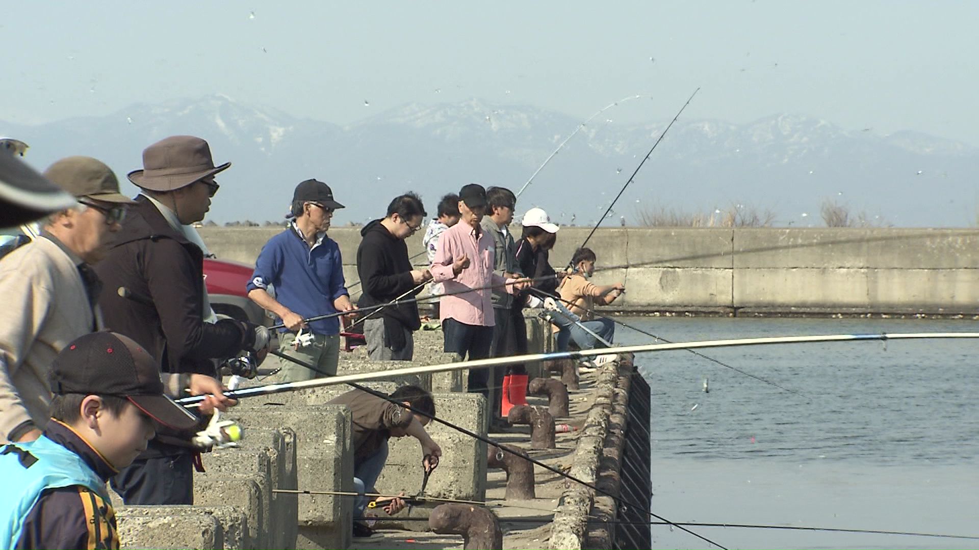 釣り人にはうれしいが…