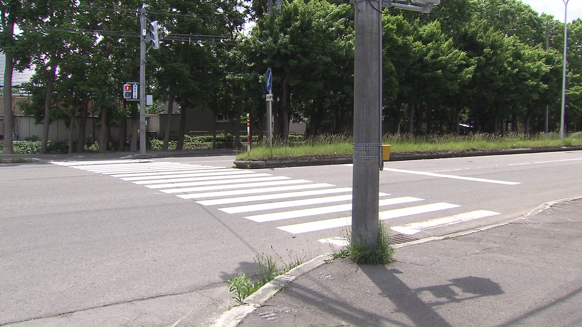 道路横断中に小1男子児童はねられケガ 車側の信号は青 男の子が赤信号の横断歩道へ飛び出したか 札幌市北区