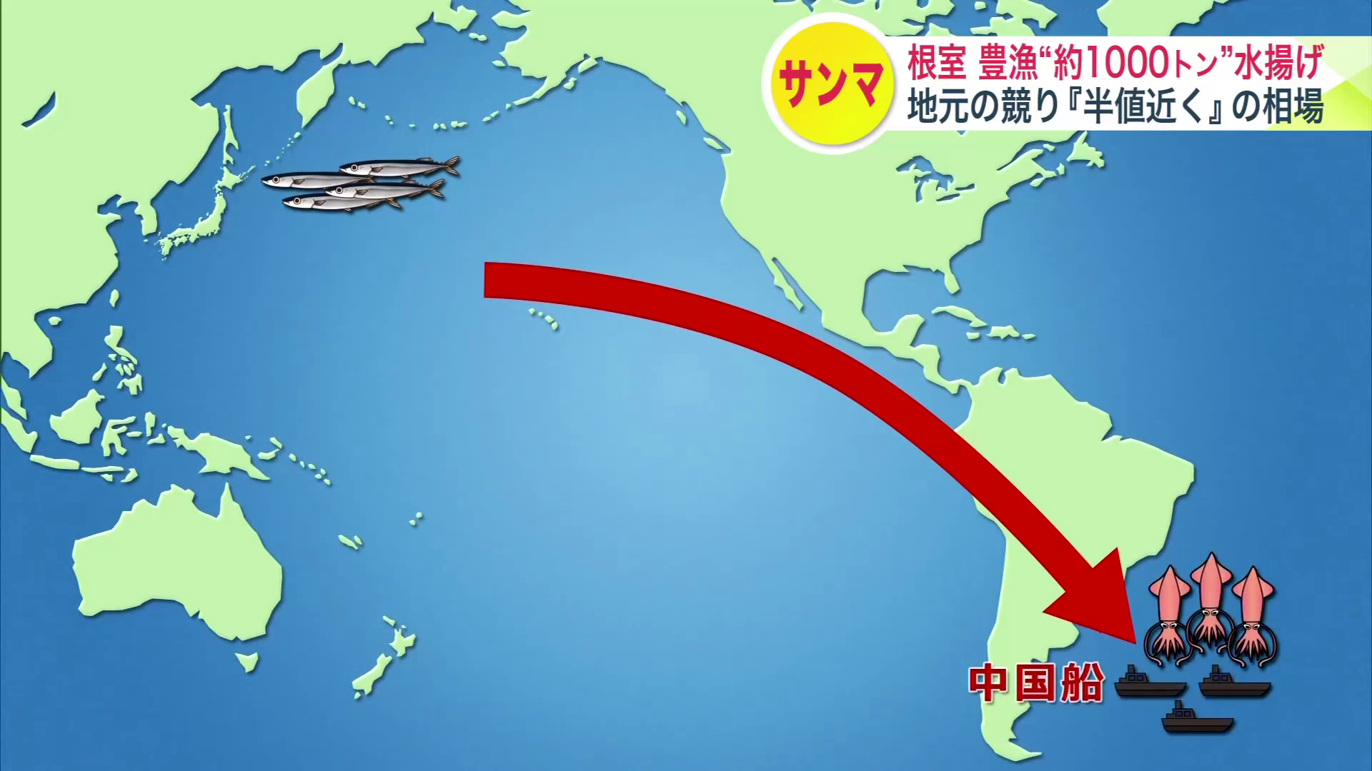 なぜ？5年ぶり豊漁―根室市花咲港で今季No1約1000トンの“サンマ水揚げ” その裏で中国漁船約100隻が漁場から消え南米イカ漁へ  地元競りでは半値近い価格で取引 北海道