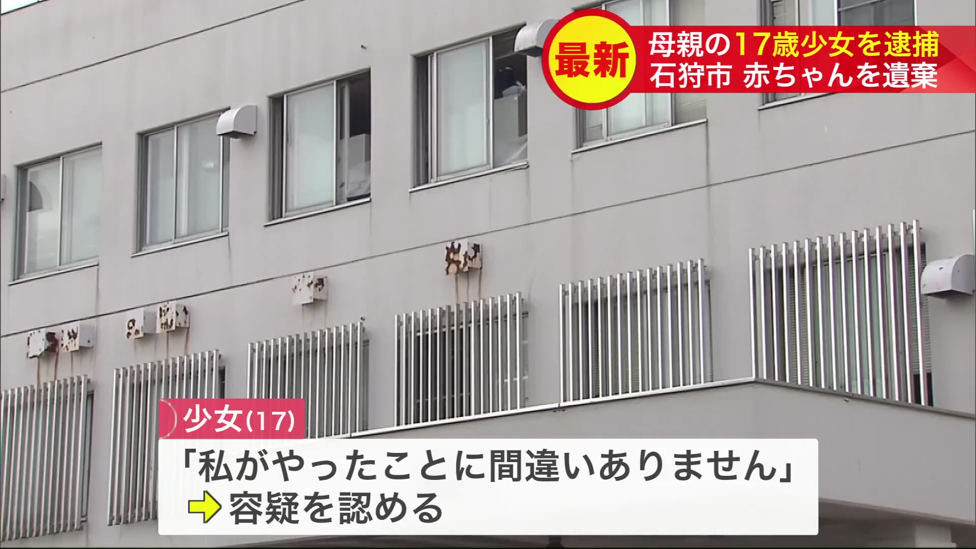 「私がやったことに間違いありません」