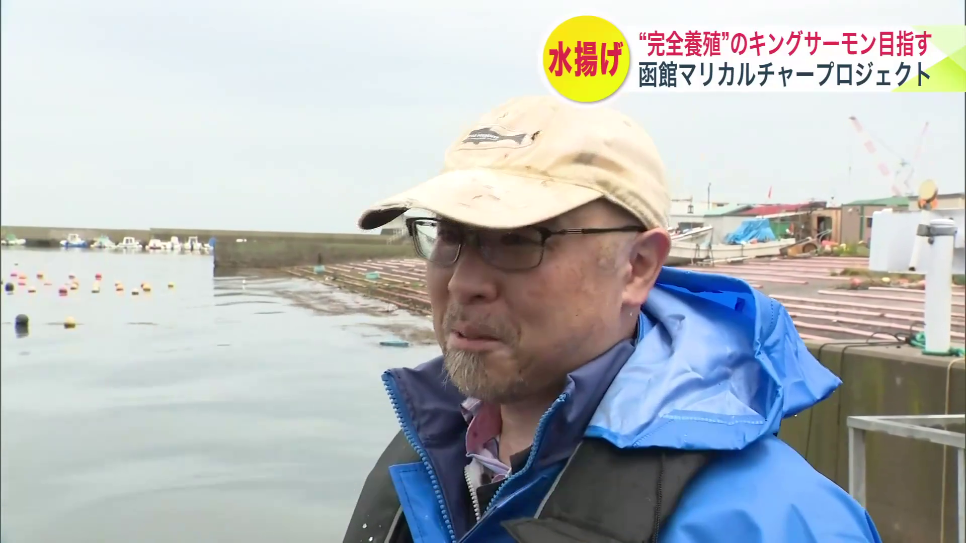 北海道大学の藤本貴史教授