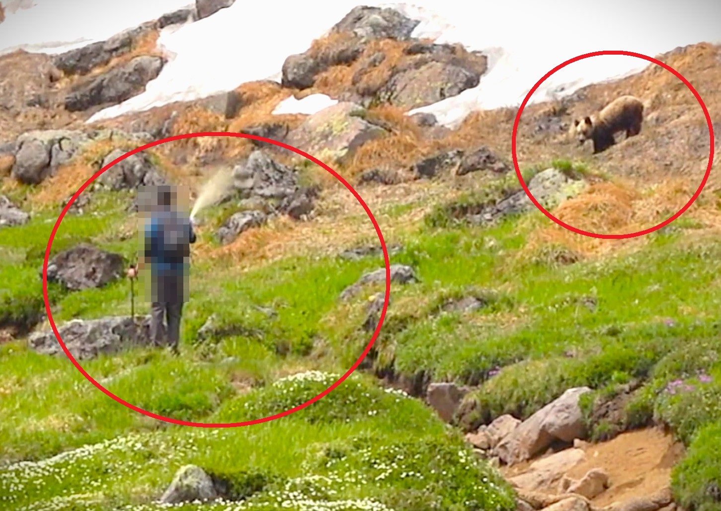 熊除けスプレーを噴射する登山者(撮影:視聴者)