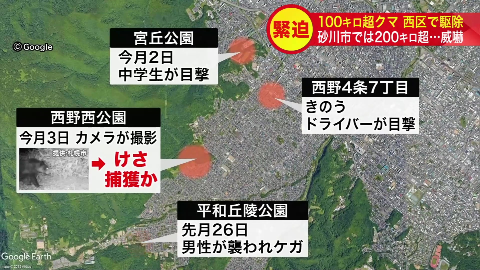 駆除されたのは男性襲った個体か