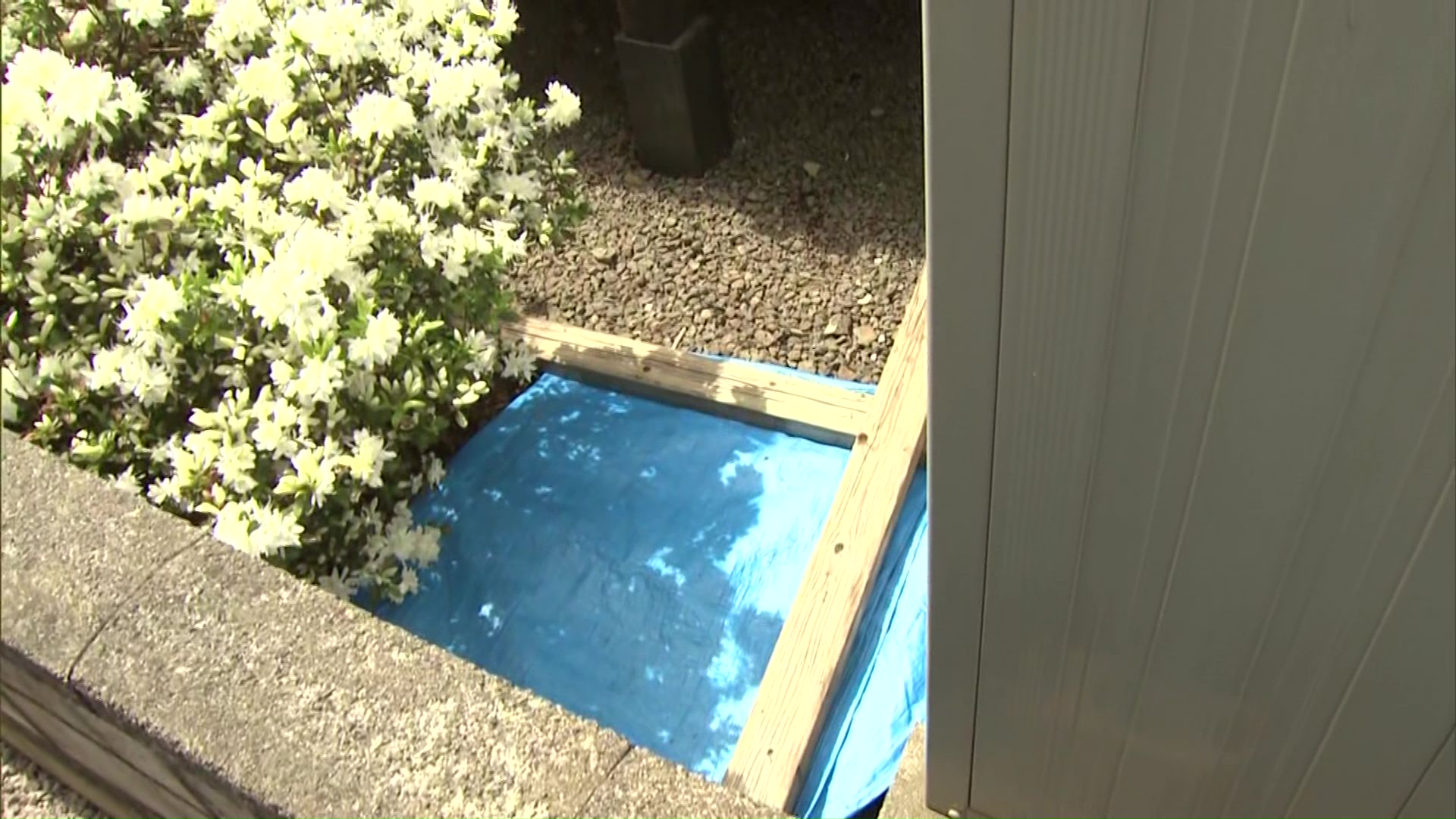 へその緒がついた状態で赤ちゃんの遺体は見つかった