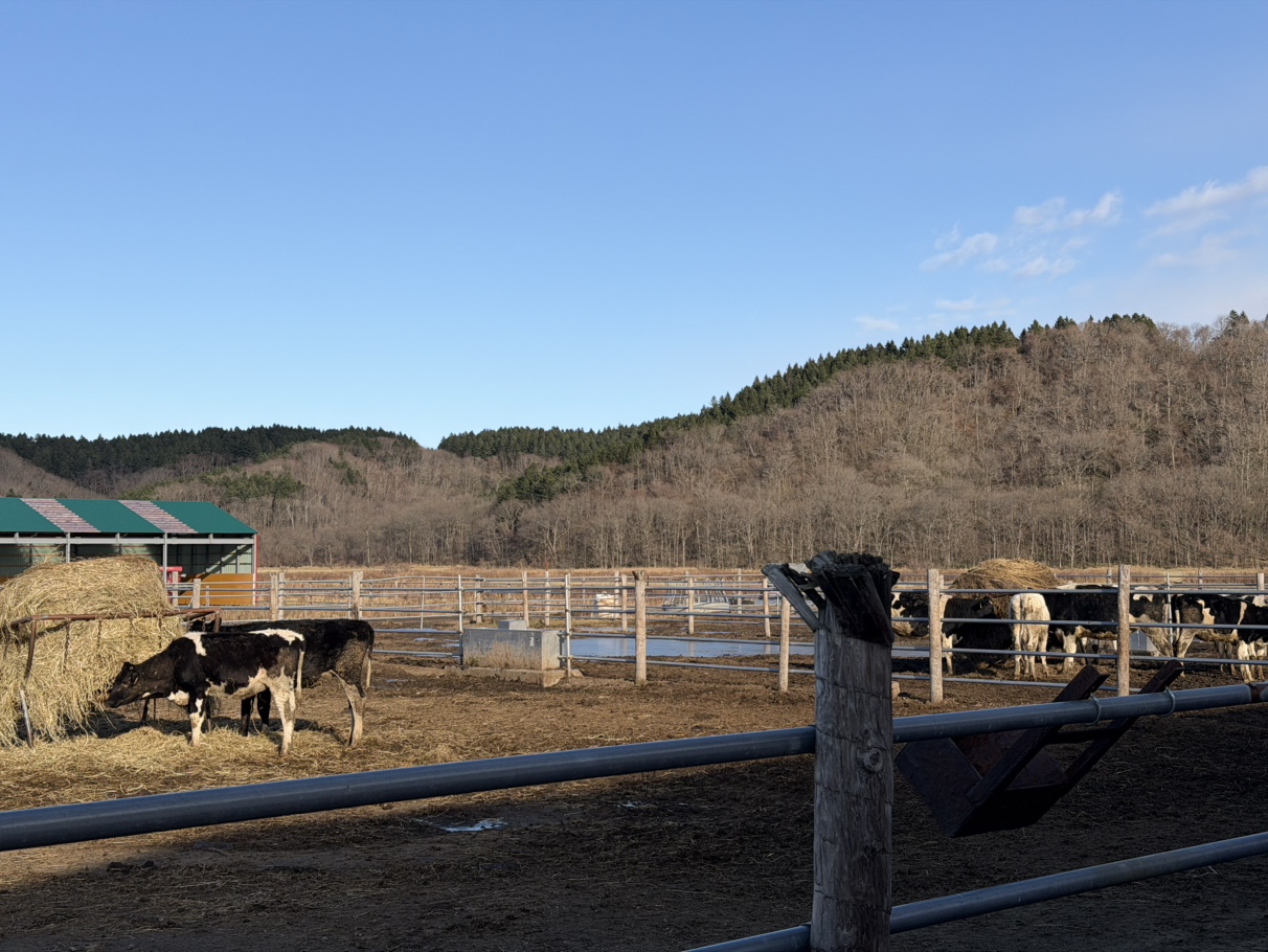 被害があった牧場